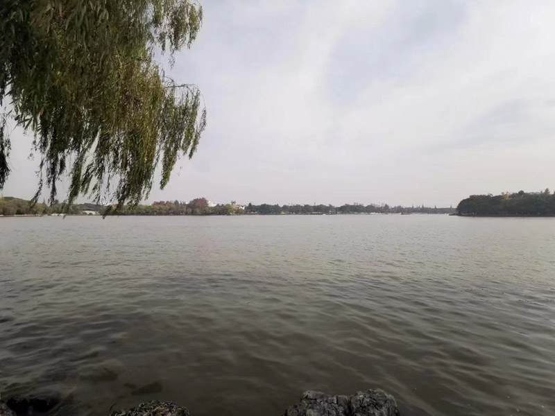 你想知道的公證遺囑法律法規(guī)，坪山律師事務(wù)已整理好