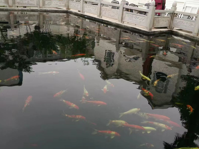 老婆有外遇離婚后財產(chǎn)如何分割？趕緊看看羅湖婚姻律師的解答